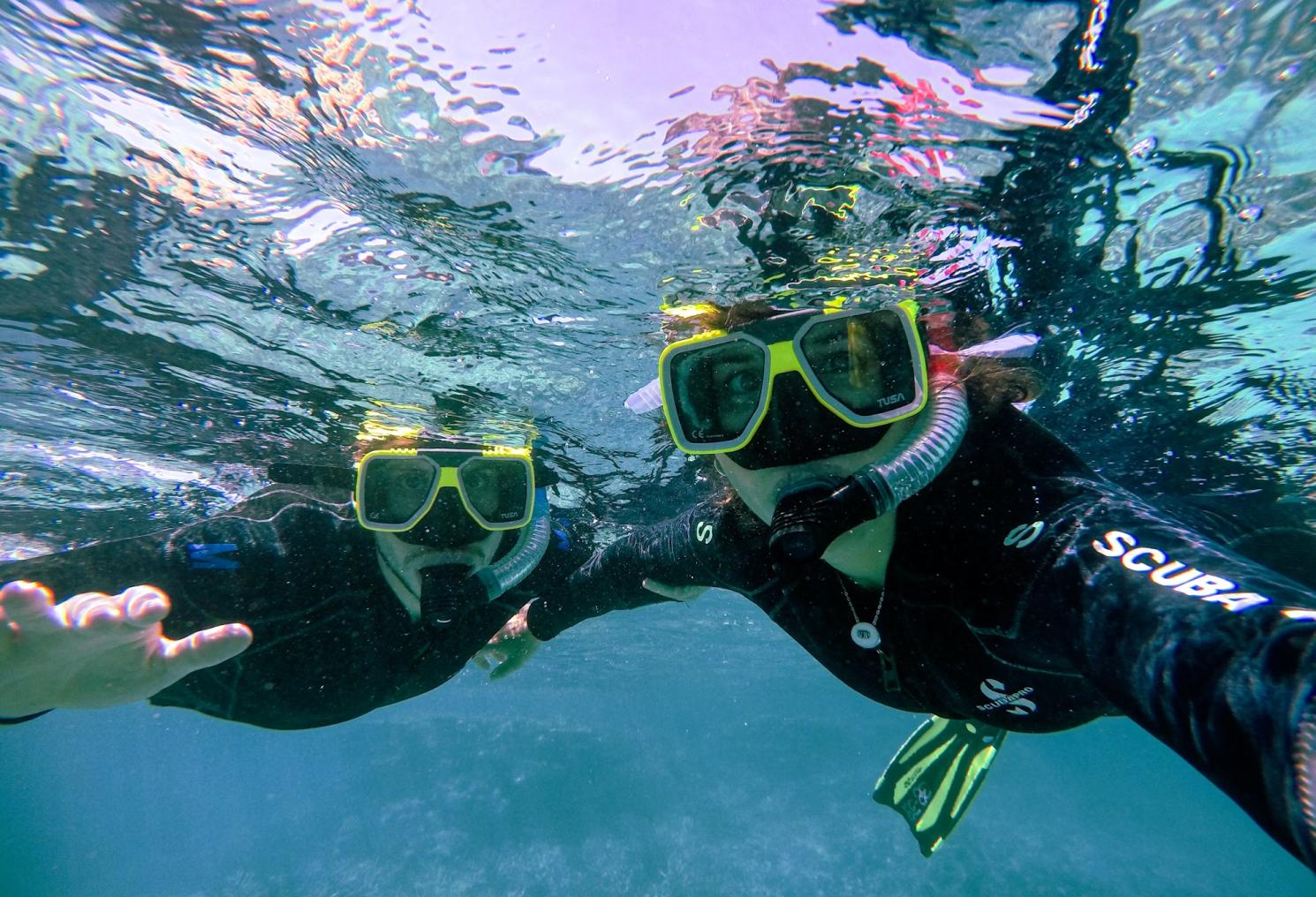 Plongée et snorkeling